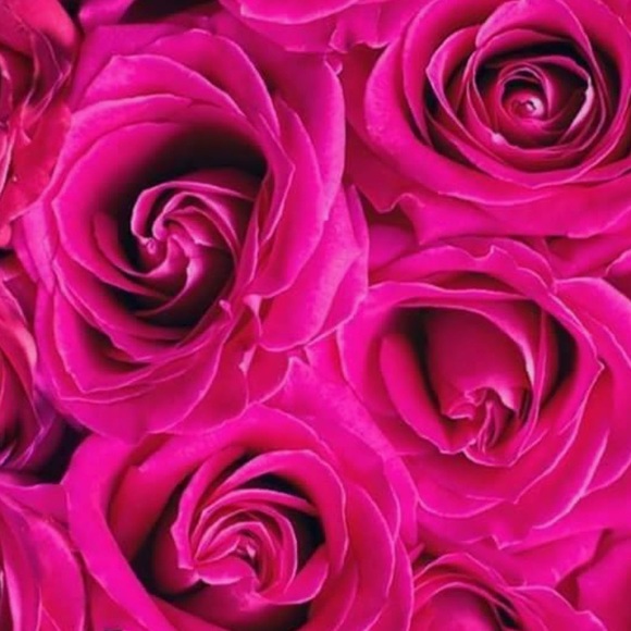 Meet your Posher, Deedee - Picture 1 of 1